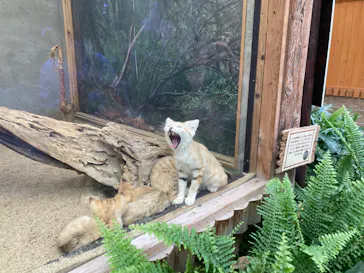 神戸どうぶつ王国に投稿された画像（2022/6/14）