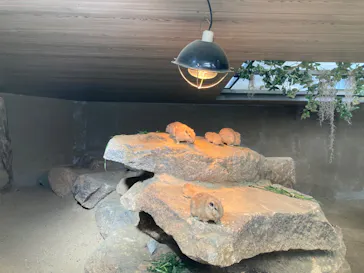 神戸どうぶつ王国に投稿された画像（2022/6/14）