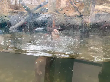 神戸どうぶつ王国に投稿された画像（2022/6/14）