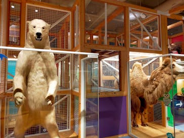 国立科学博物館に投稿された画像（2022/6/14）