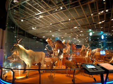 国立科学博物館に投稿された画像（2022/6/14）