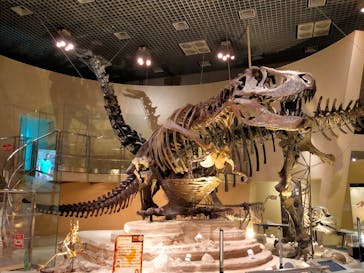 国立科学博物館に投稿された画像（2022/6/14）