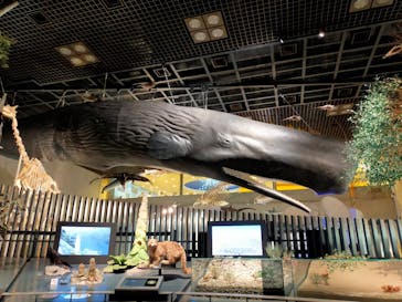 国立科学博物館に投稿された画像（2022/6/14）