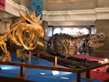 国立科学博物館　特別企画展「ポケモン化石博物館」に投稿された画像（2022/6/14）