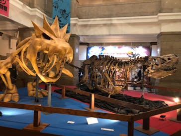 国立科学博物館　特別企画展「ポケモン化石博物館」に投稿された画像（2022/6/14）