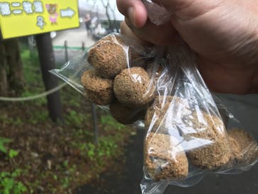 のぼりべつクマ牧場に投稿された画像（2022/6/14）