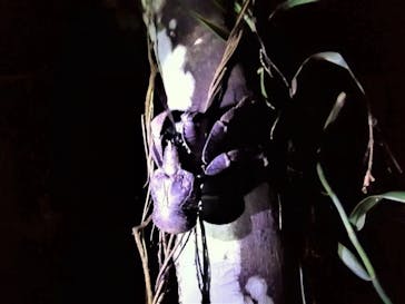 宮古島 ADVENTURE PiPi（ミヤコジマ アドベンチャー ピピ）に投稿された画像（2022/6/14）