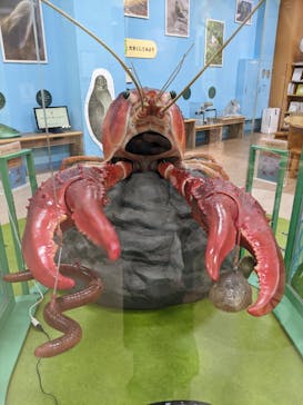 滋賀県立琵琶湖博物館に投稿された画像（2022/6/14）