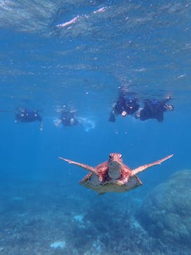 宮古島 ADVENTURE PiPi（ミヤコジマ アドベンチャー ピピ）に投稿された画像（2022/6/14）