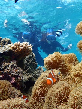 宮古島 ADVENTURE PiPi（ミヤコジマ アドベンチャー ピピ）に投稿された画像（2022/6/14）