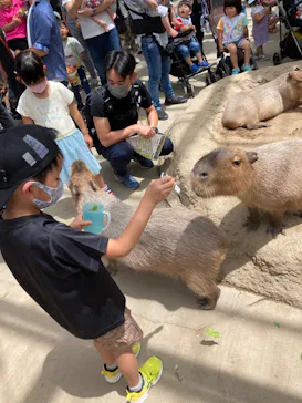神戸どうぶつ王国に投稿された画像（2022/6/14）