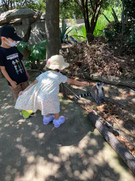 神戸どうぶつ王国に投稿された画像（2022/6/14）