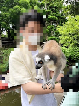 伊豆シャボテン動物公園に投稿された画像（2022/6/14）