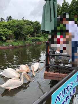 伊豆シャボテン動物公園に投稿された画像（2022/6/14）