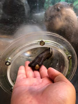 伊豆シャボテン動物公園に投稿された画像（2022/6/14）