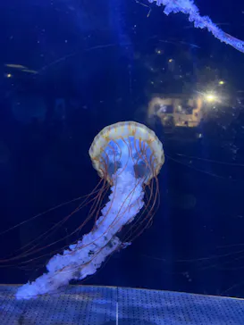 横浜・八景島シーパラダイスに投稿された画像（2022/6/14）