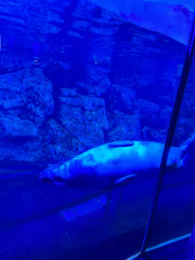 横浜・八景島シーパラダイスに投稿された画像（2022/6/14）