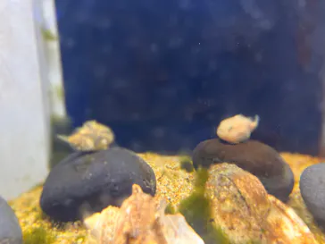 横浜・八景島シーパラダイスに投稿された画像（2022/6/14）