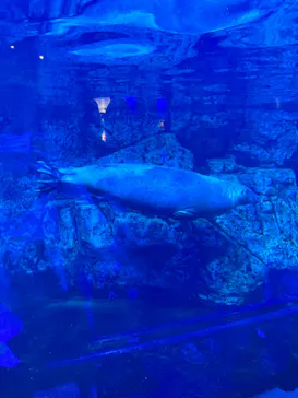 横浜・八景島シーパラダイスに投稿された画像（2022/6/14）