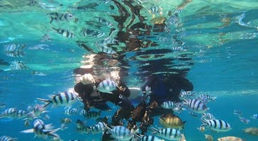 武藤潜水に投稿された画像（2022/6/14）