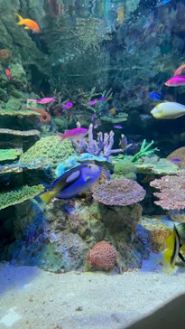 サンシャイン水族館に投稿された画像（2022/6/15）
