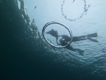 武藤潜水に投稿された画像（2022/6/15）