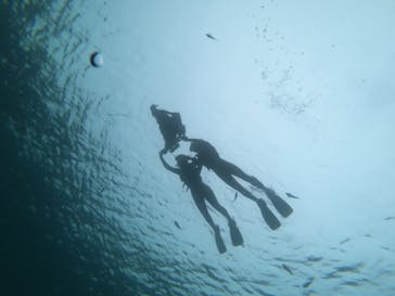 武藤潜水に投稿された画像（2022/6/15）