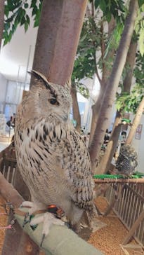 Moff animal cafe イオンモール幕張新都心店に投稿された画像（2022/6/15）