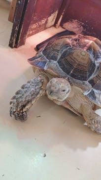 Moff animal cafe イオンモール幕張新都心店に投稿された画像（2022/6/15）