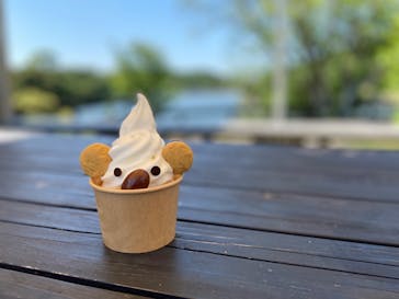 淡路ファームパーク イングランドの丘に投稿された画像（2022/6/15）