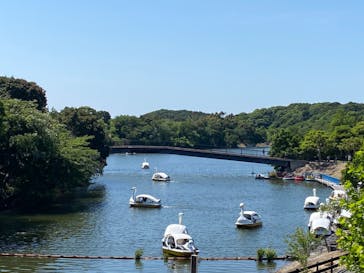 淡路ファームパーク イングランドの丘に投稿された画像（2022/6/15）