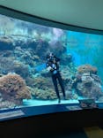 沖縄美ら海水族館に投稿された画像（2022/6/15）