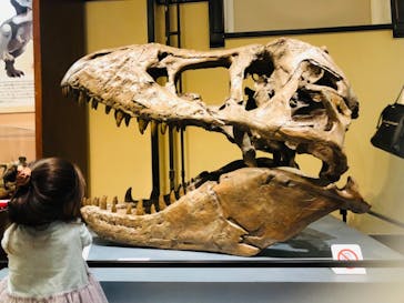 国立科学博物館　特別企画展「ポケモン化石博物館」に投稿された画像（2022/6/15）