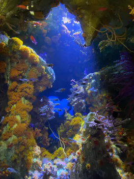 サンシャイン水族館に投稿された画像（2022/6/15）