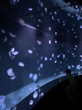 サンシャイン水族館に投稿された画像（2022/6/15）