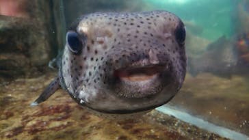 鴨川シーワールドに投稿された画像（2022/6/15）