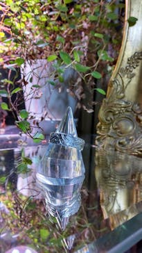 impera accessory（インペラアクセサリー）に投稿された画像（2022/6/15）