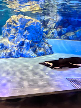 すみだ水族館に投稿された画像（2022/6/15）