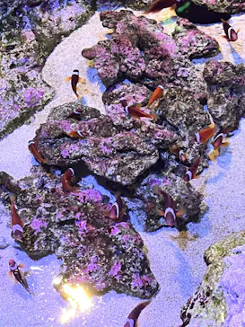 すみだ水族館に投稿された画像（2022/6/15）