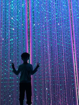 チームラボプラネッツ TOKYO DMMに投稿された画像（2022/6/15）