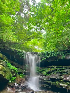 西表島 ADVENTURE PiPi（アドベンチャーピピ）に投稿された画像（2022/6/15）