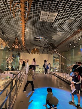 国立科学博物館　特別企画展「ポケモン化石博物館」に投稿された画像（2022/6/15）
