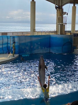 新江ノ島水族館に投稿された画像（2022/6/15）