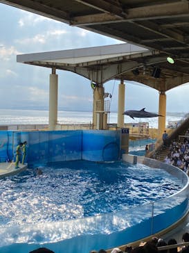 新江ノ島水族館に投稿された画像（2022/6/15）