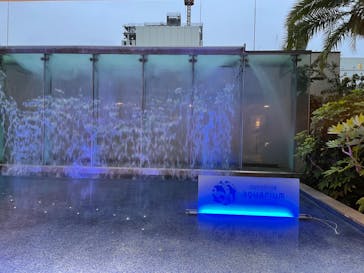 サンシャイン水族館に投稿された画像（2022/6/15）