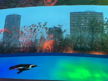 サンシャイン水族館に投稿された画像（2022/6/15）