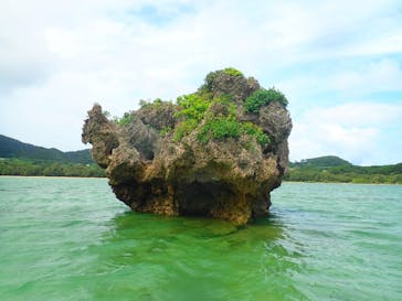 石垣島 ADVENTURE PiPi（イシガキジマアドベンチャーピピ）に投稿された画像（2022/6/15）