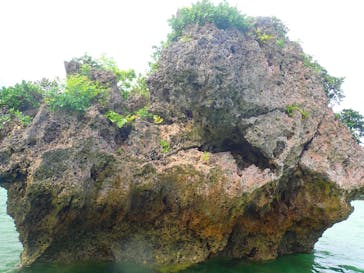 石垣島 ADVENTURE PiPi（イシガキジマアドベンチャーピピ）に投稿された画像（2022/6/15）