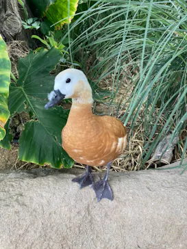 神戸どうぶつ王国に投稿された画像（2022/6/15）