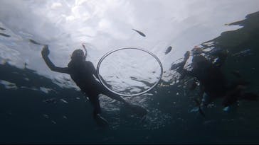 武藤潜水に投稿された画像（2022/6/16）